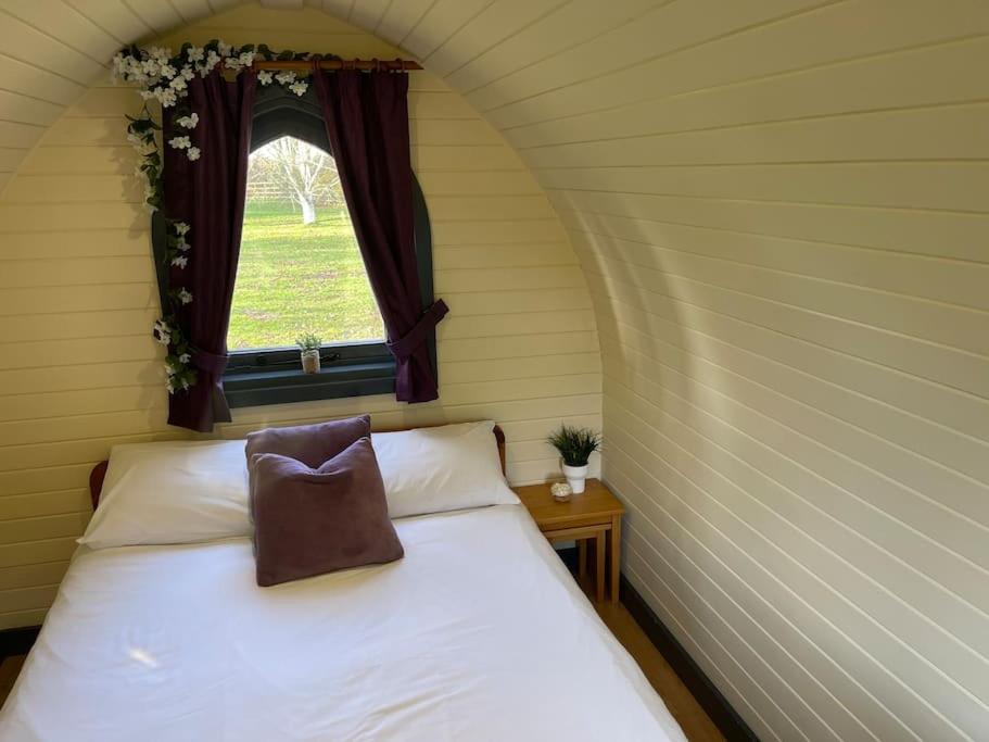 Belle Vista Glamping & Camping Γιορκ Εξωτερικό φωτογραφία